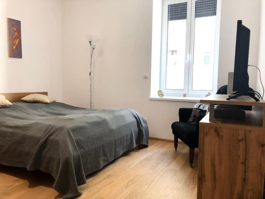 Cozy Flat - Near Schoenbrunn 비엔나 외부 사진